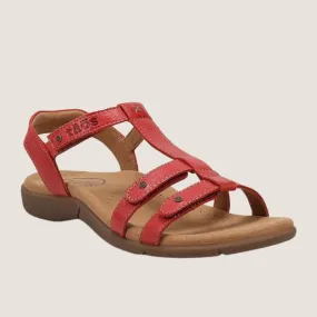 Taos Trophy 2 Sandal